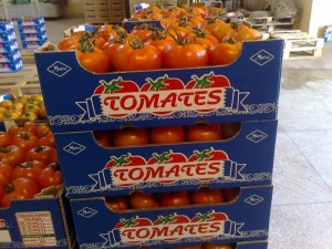 Maroc-UE-Tomates-export